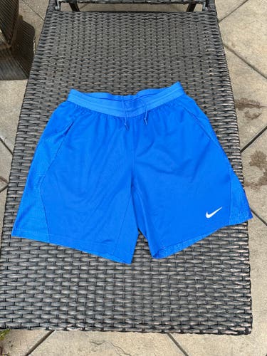 NIKE Dri-Fit Training Shorts (sz LG)