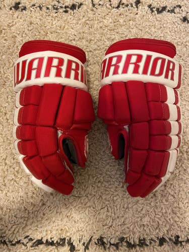 Warrior 13"  Franchise Gloves
