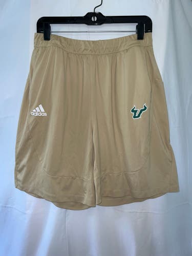 USF FOOTBALL TEAM ISSUED ADIDAS SHORTS GOLD *NEW*