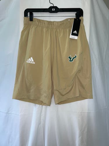 USF FOOTBALL TEAM ISSUED ADIDAS SHORTS GOLD *NEW*