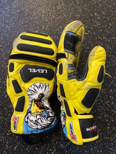 Used Level World Cup Ski Racing Mittens