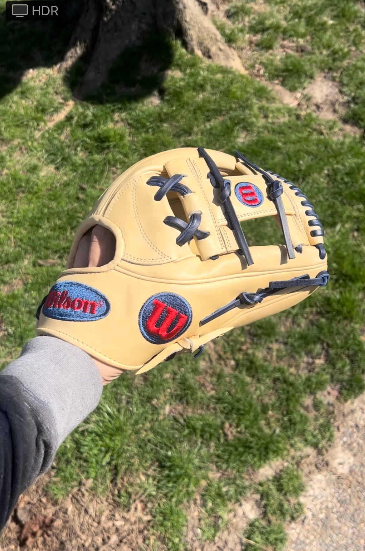 Butler Sporting Goods - Today's #GloveOfTheDay- The Wilson A2K 1787 Dansby  Swanson model. Stop by today and check out our large selection of pro level  gloves! #onlyatbutlers #wilson #a2k