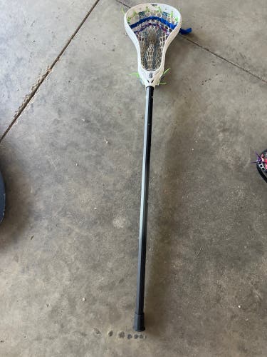 Used STX Force SC Shaft And A Brine Stick Head