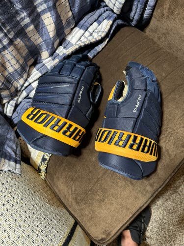 Warrior 15" Pro Stock Alpha Pro Gloves