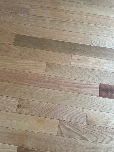 Shoes Ryder Blundstone Boots