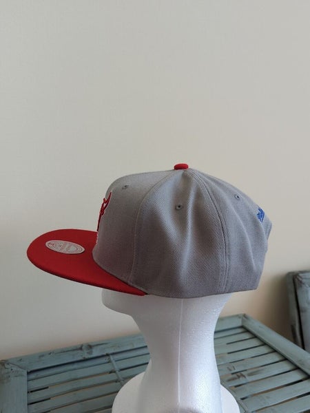 NWS Chicago Bulls Mitchell & Ness Two Toned Snapback Hat NBA35