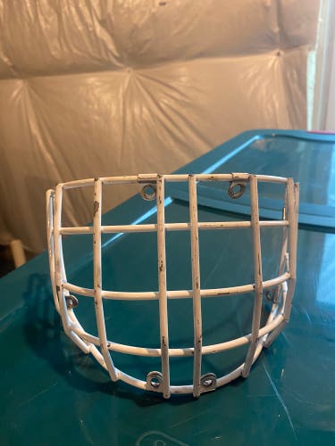 Wall/Victory Pro Stock Goalie Cage