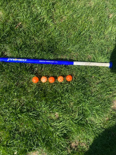 Primed Weighted Training Stick With Balls