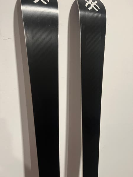 AUGMENT オーグメントGS WORLDCUP 193cm skis AUGMENT GS P WORLD CUP PRO, grip walk, Woodcore