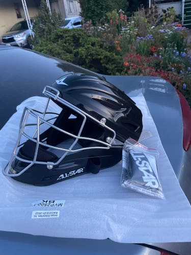 Adult All Star Catcher's helmet