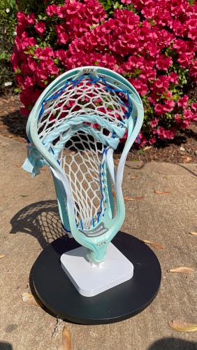 BN STX Stallion 900 strung with TMD 7D
