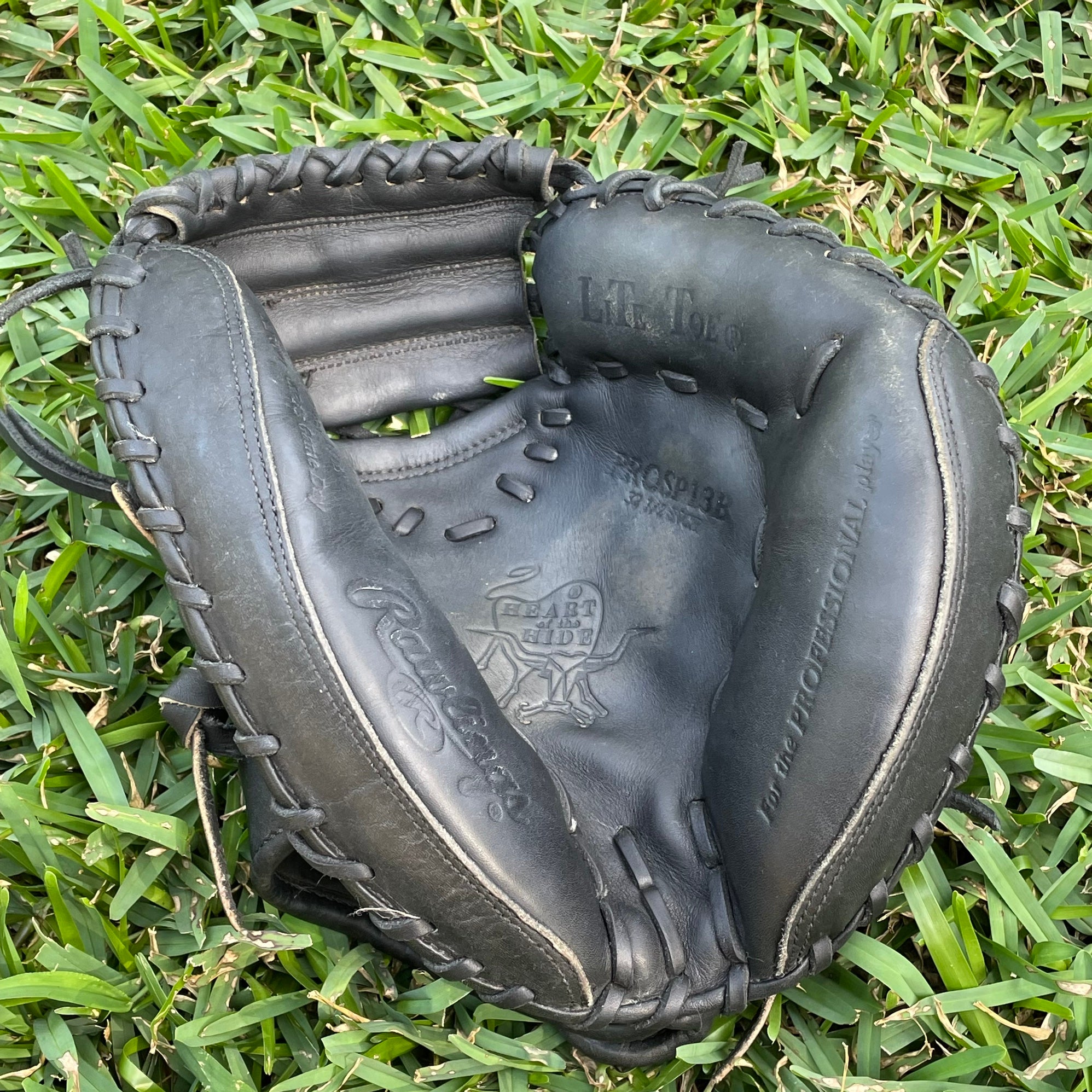 Rawlings Catchers Mitt Salvador Perez Model