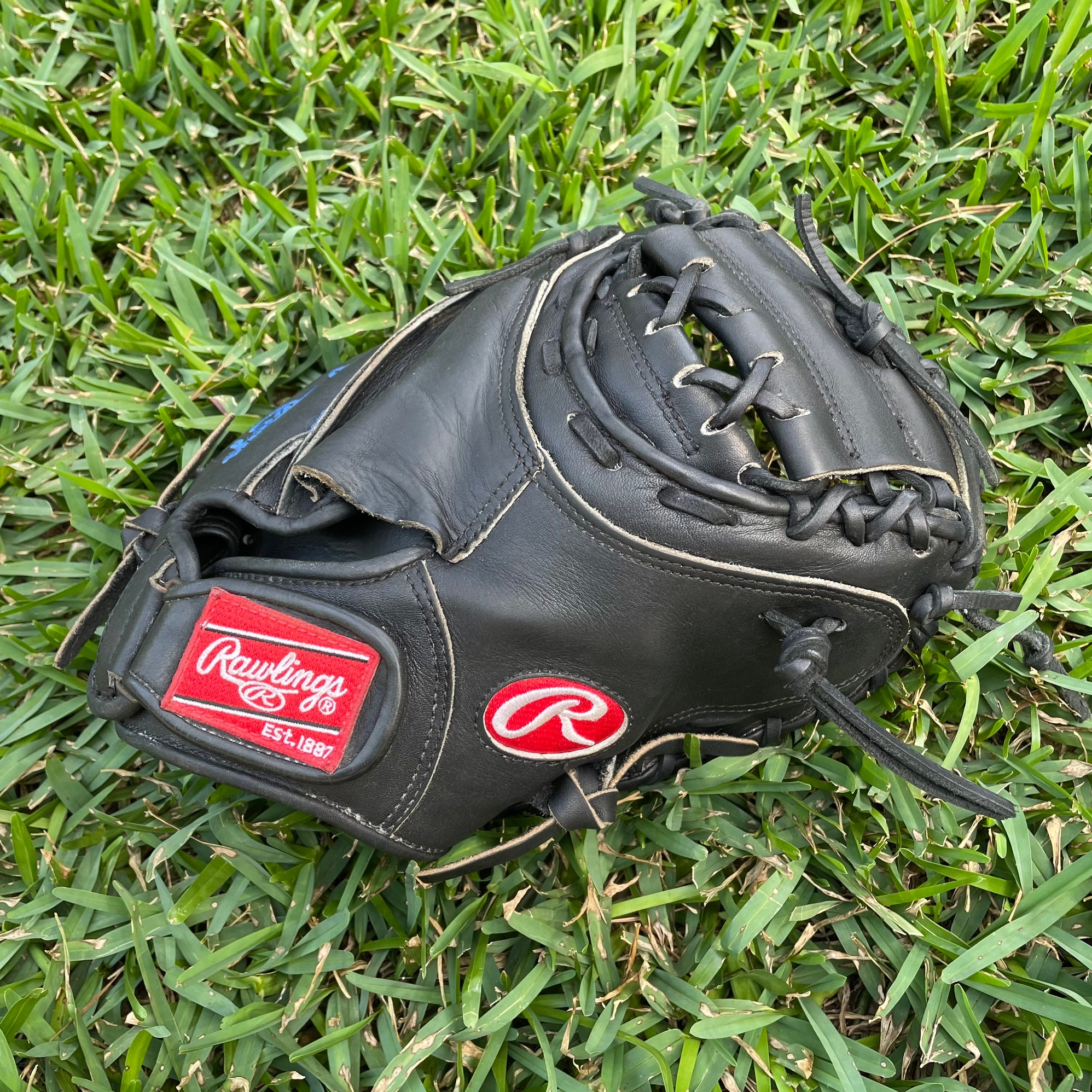 Rawlings Catchers Mitt Salvador Perez Model