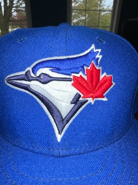 BLUE JAY BIRD Hat Embroidered Men Women Wildlife Baseball 