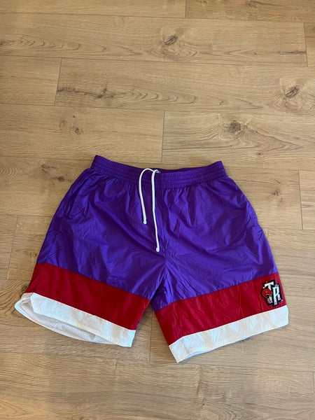 Men's Toronto Raptors Mitchell & Ness Purple 1996-97 Just Don Shorts