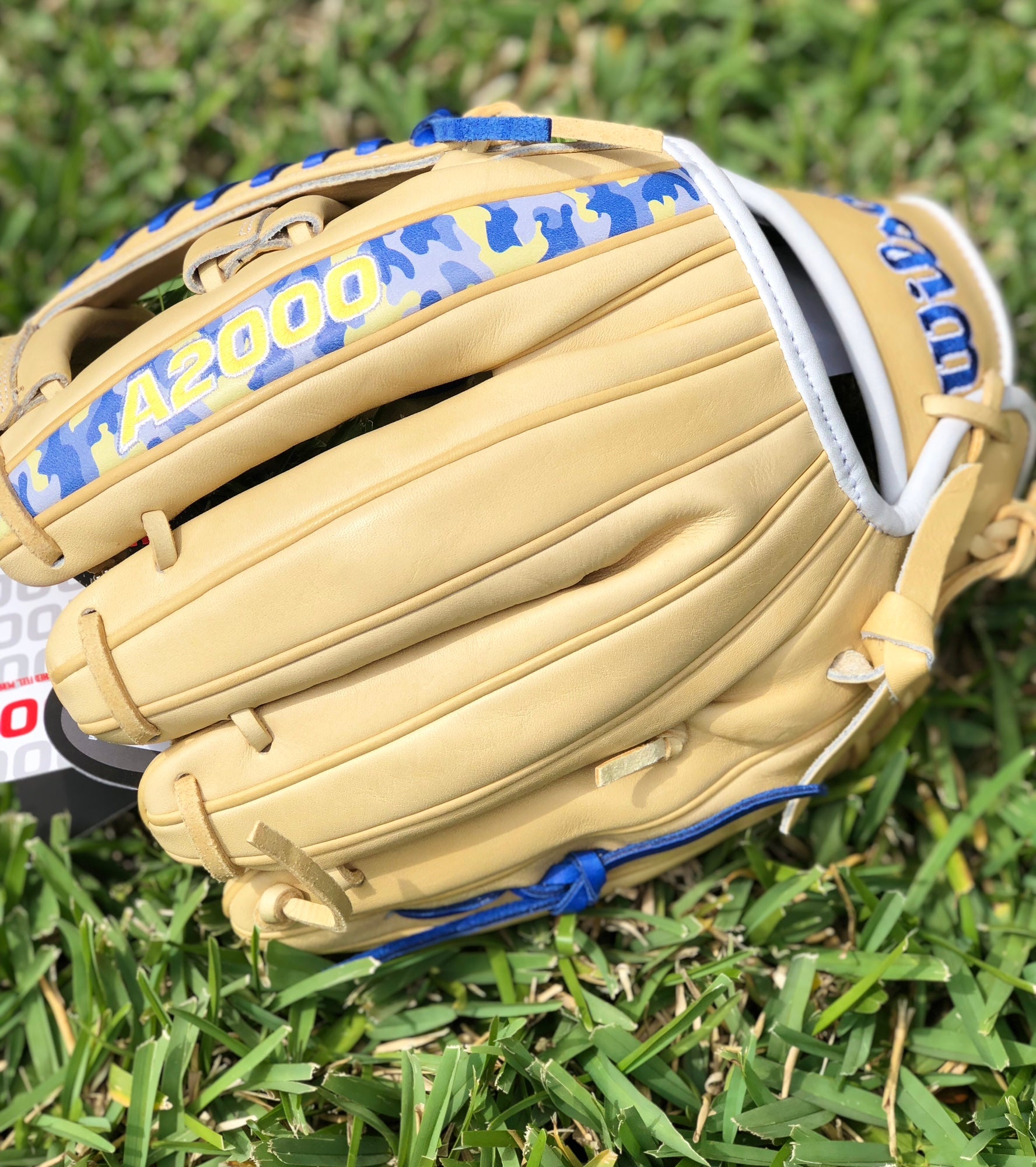  Wilson April 2023 Glove of The Month Bobby WITT Jr A2000  WBW1013681175 11.75 Baseball Fielder's Glove : Sports & Outdoors