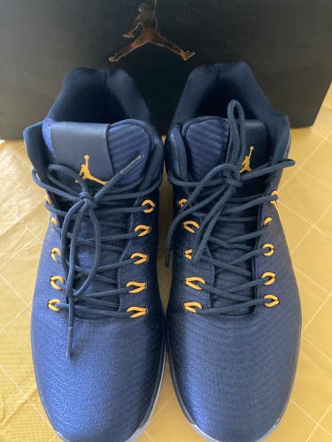 Michigan Wolverines Jordan XXXI