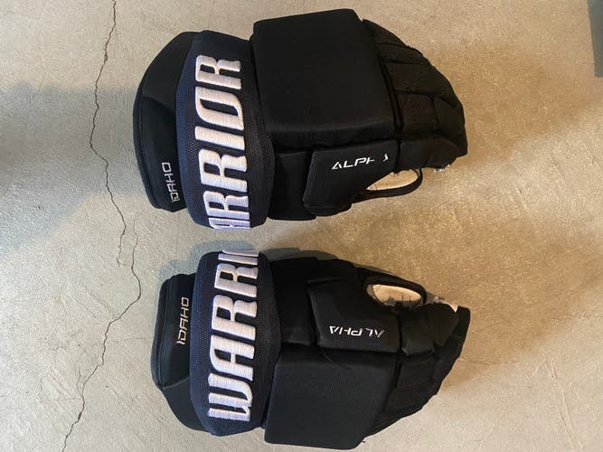 Used Warrior Alpha Gloves 14" Pro Stock