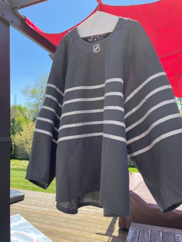 Authentic 2020 NHL All Star Goalie Jersey.  This is the actual jersey they would have worn.