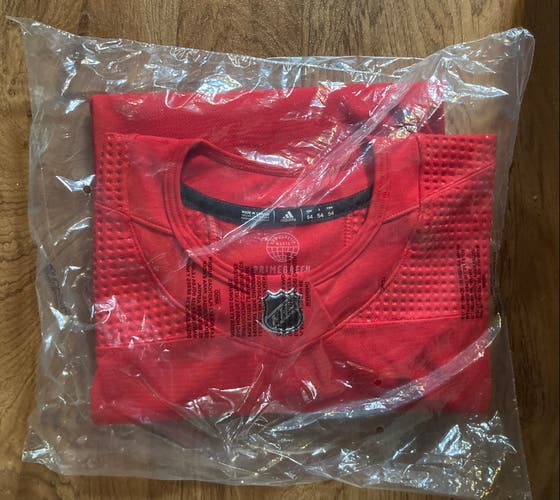 Red Wings Hockey Jersey