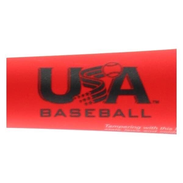 2019 Easton Ghost X Evolution USA Youth Baseball Bat (-8) YBB19GXE8 32inch 24oz