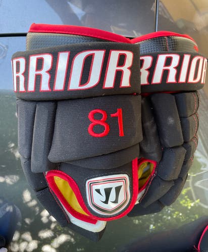 Pro Stock Gloves Hossa Warrior Franchise 14”