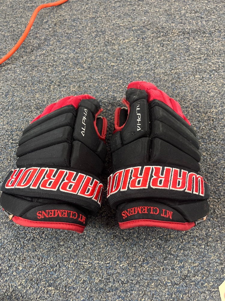 Used Warrior Alpha Gloves 11"