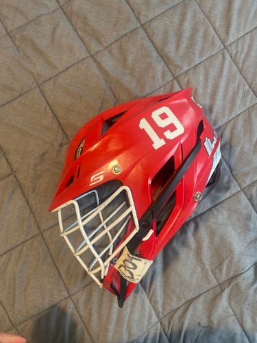 Boston University Terrier helmet