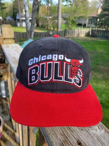 Vintage Rare Chicago Bulls 1990s Starter Sports NBA Hat Cap Vtg Arch Snapback