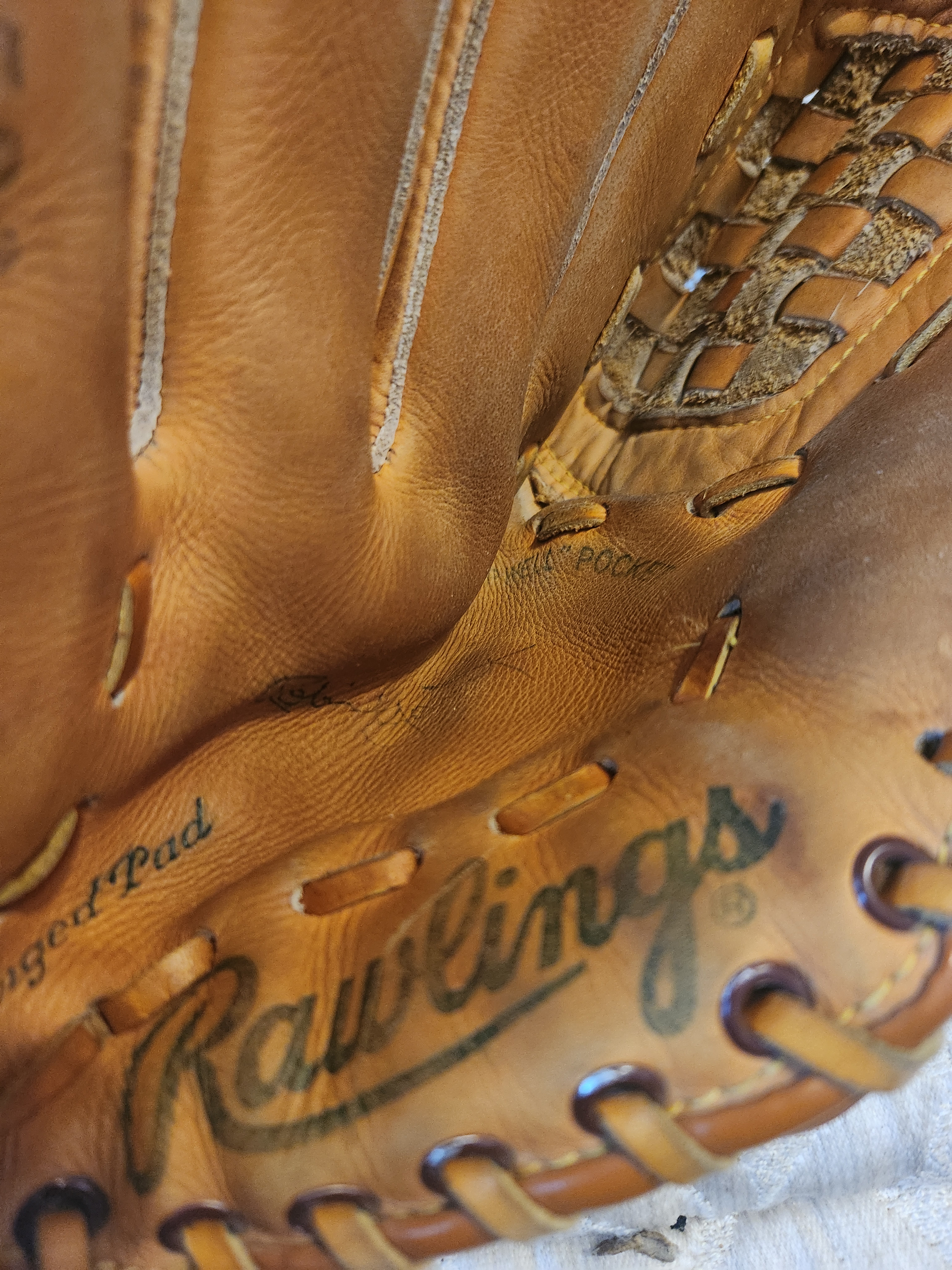 Supreme Rawlings Baseball Mitt – On The Arm