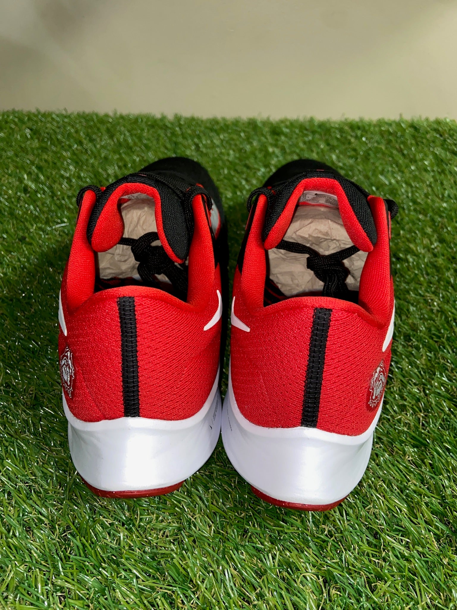 Nike Zoom Pegasus 38 Georgia Bulldogs UGA Dawgs Shoes Mens DJ0828-001 NEW Nike Men main image 3