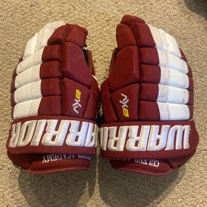 Warrior 14" Pro Stock Dynasty AX2 Gloves