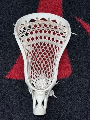 STX Proton + Head