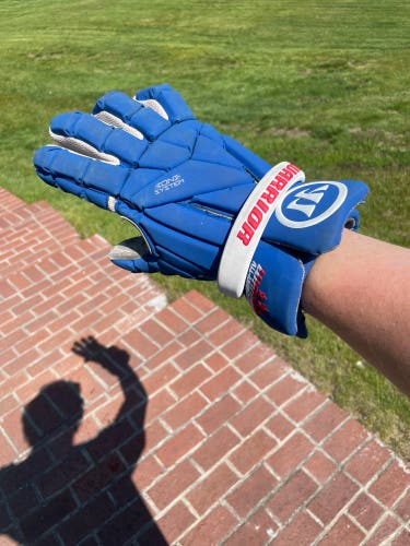 Warrior evo AA gloves