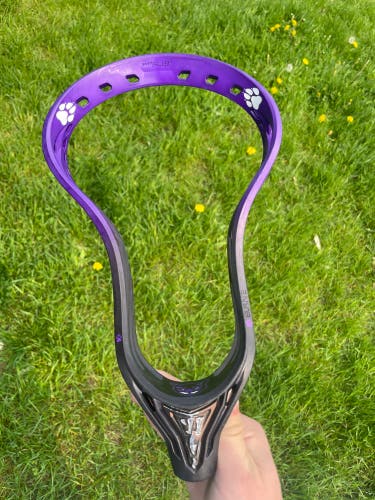 Burn 2 Head dyed with panther city lax themed dye.