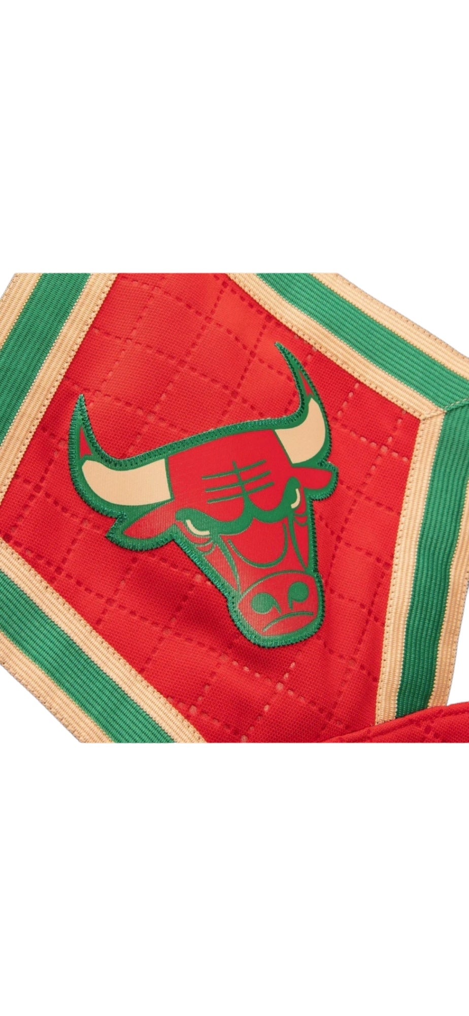 Authentic Chicago Bulls 2008-09 Shorts - Shop Mitchell & Ness Bottoms and  Shorts Mitchell & Ness Nostalgia Co.