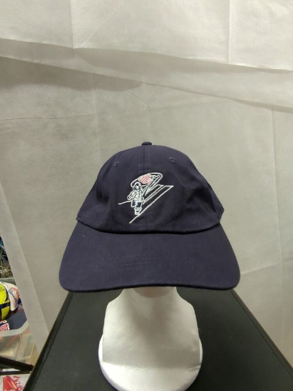 NFL, Accessories, Miami Dolphins Hat Purple Womens Nwot