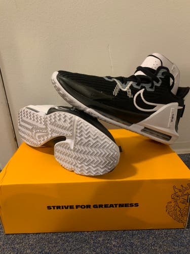 New  LeBron six witness shoes