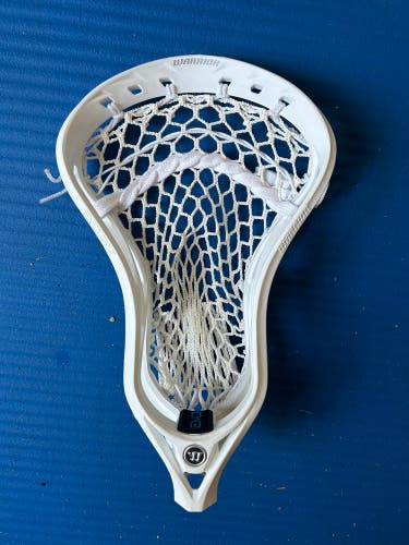 Strung Warrior Evo Qx-O Head (unused)