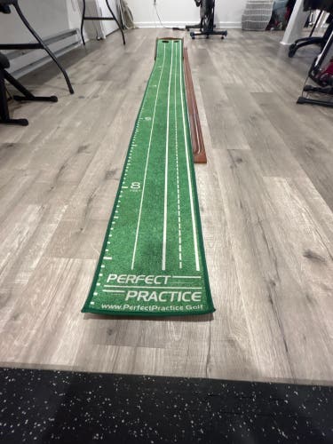 “Perfect practice” golf putting green strip
