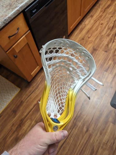 Lightly Used Warrior Strung Evo Qx-O Head