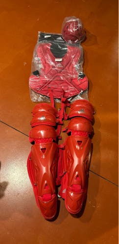 Adidas pro series 2.0 catchers gear with Allstar skull cap