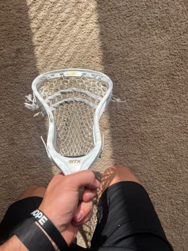STX Stallion 700 Head