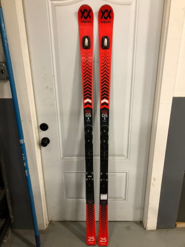 Unisex 2021 Racing Without Bindings Racetiger GS Skis
