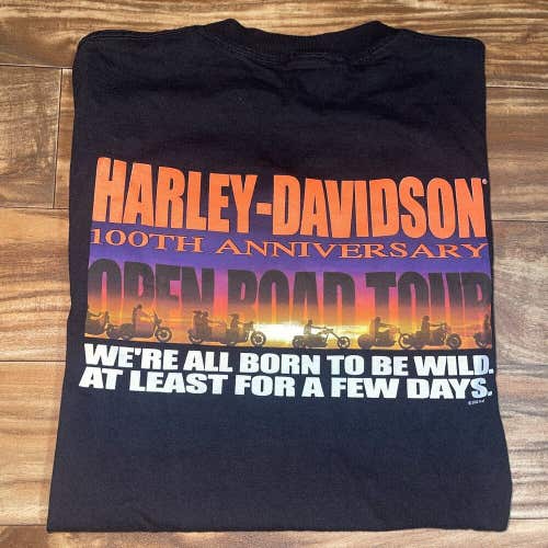 Vintage Harley Davidson 100th Anniversary Graphic T-Shirt Size Large L