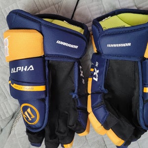 Used Warrior Alpha LX 30 Gloves 12"