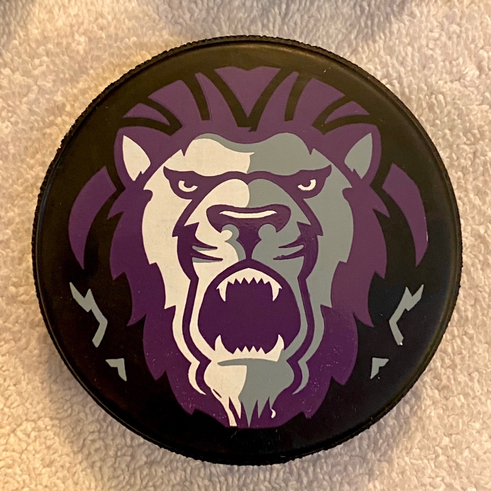 Reading Royals Vintage ECHL Hockey Official Game Puck