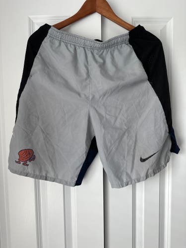 Fighting Clams Nike Shorts (Size M)