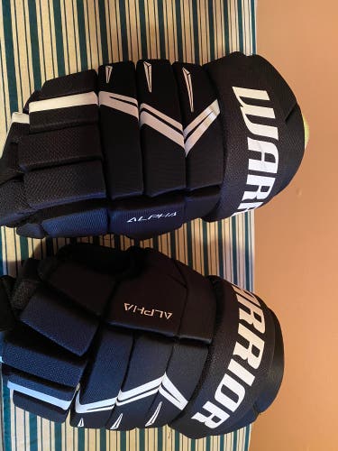 New Warrior 15"  Alpha DX5 Gloves