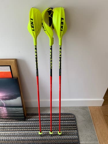 Leki World Cup Carbon Slalom Poles